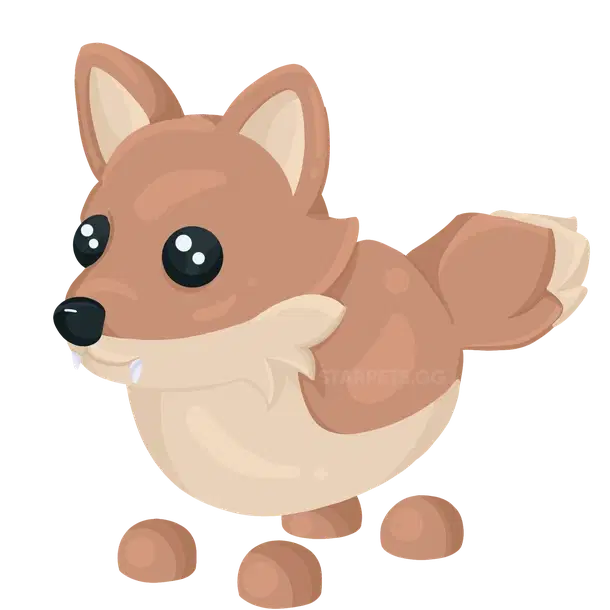 Coyote common, Adopt me