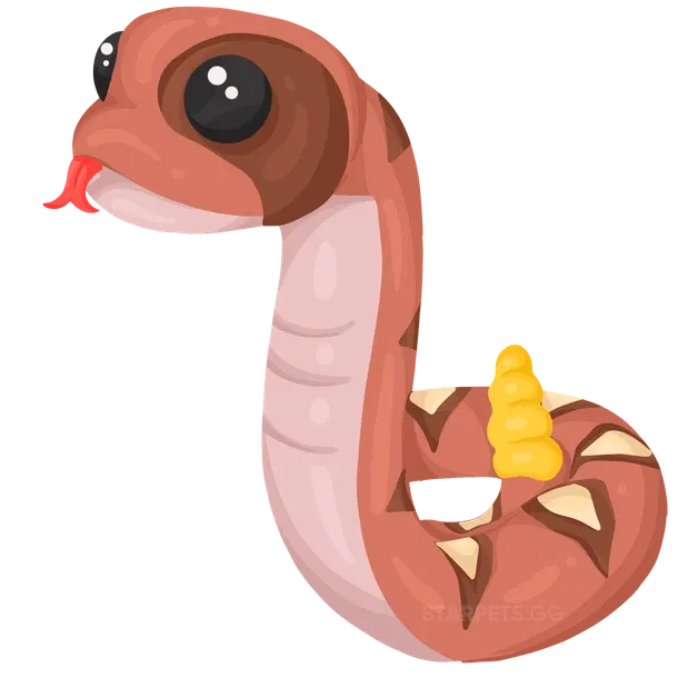 Rattlesnake uncommon, Adopt me