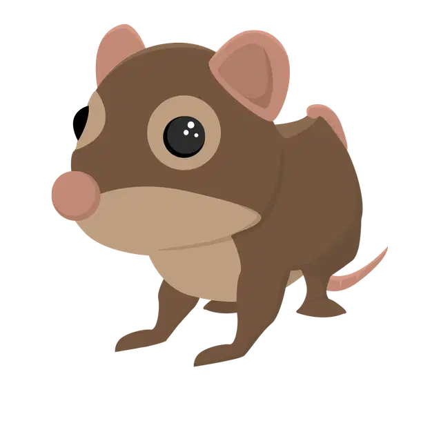 Shrew rare, Adopt me