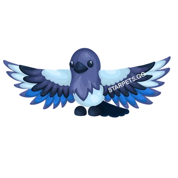 Magpie uncommon, Adopt me