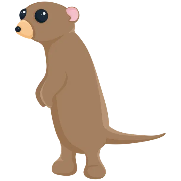 Meerkat uncommon, Adopt me