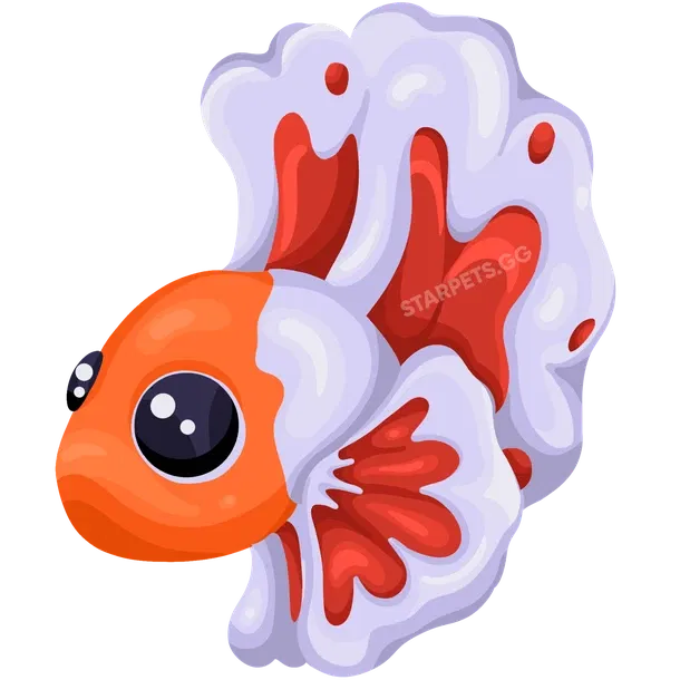 Orange Betta Fish rare, Adopt me