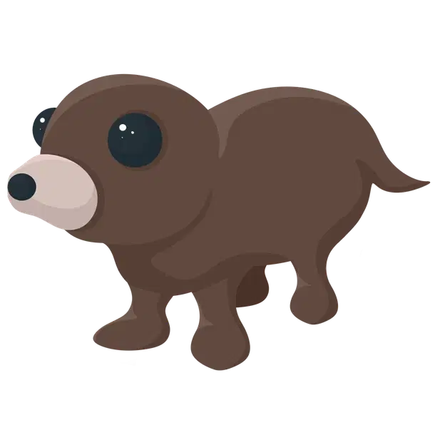 Otter common, Adopt me