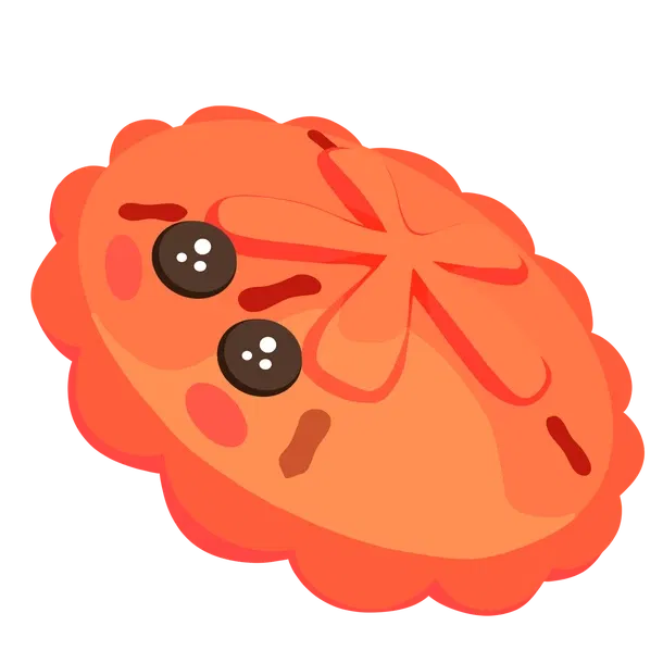 Red Sand Dollar ultra_rare, Adopt me