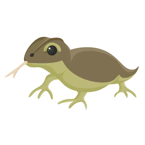 Komodo Dragon ultra_rare, Adopt me