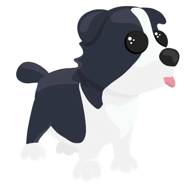 Border Collie rare, Adopt me