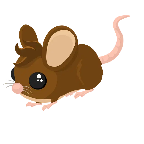 Field Mouse legendary, Adopt me