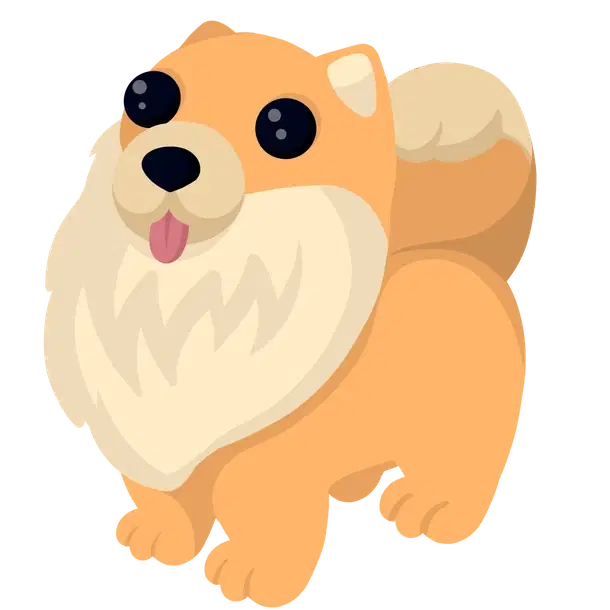 Pomeranian ultra_rare, Adopt me