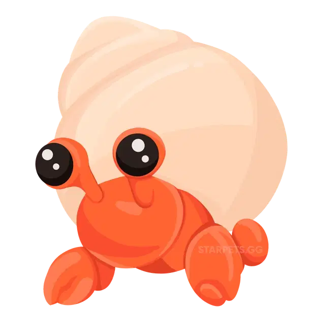 Hermit Crab uncommon, Adopt me