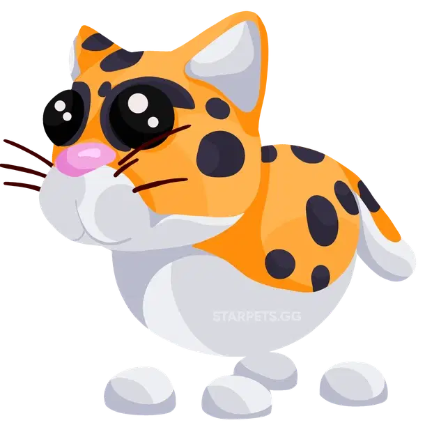 Indian Leopard rare, Adopt me