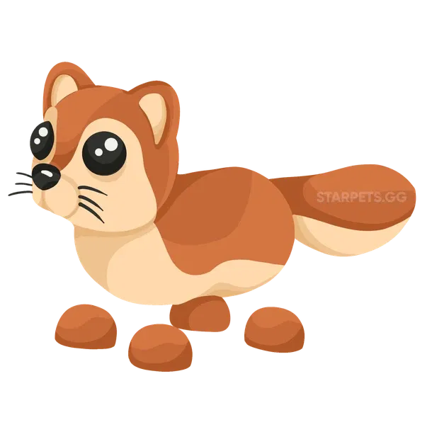 Mongoose common, Adopt me