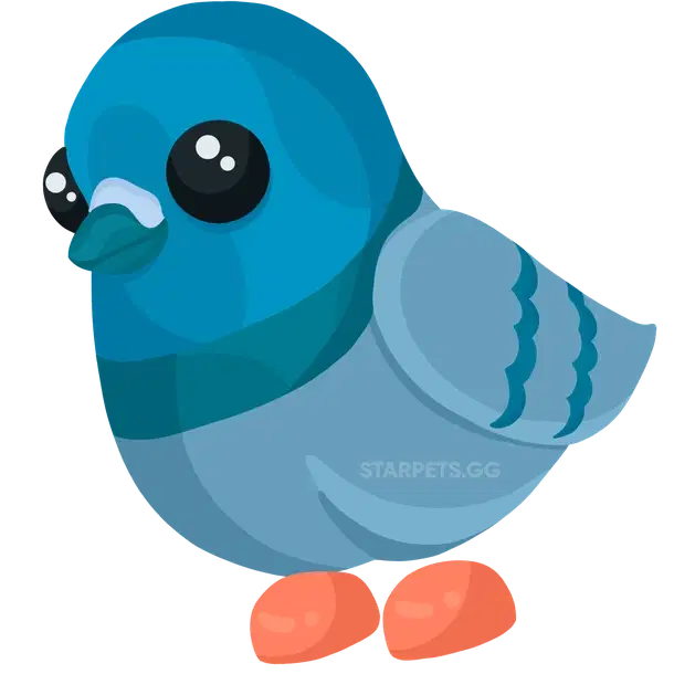 Rock Pigeon uncommon, Adopt me