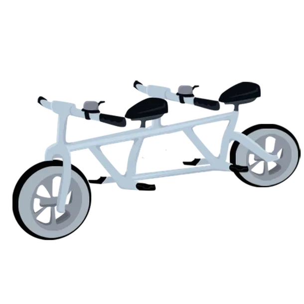 Tandem Bicycle common, Adopt me