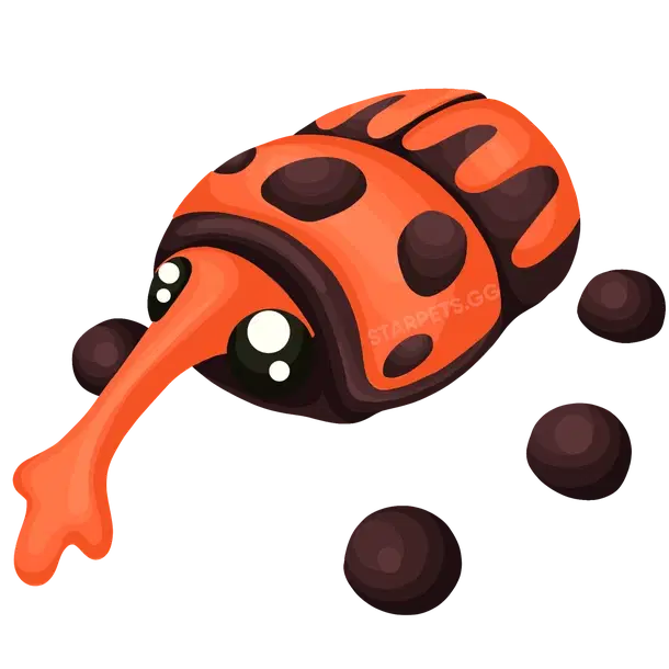 Weevil rare, Adopt me