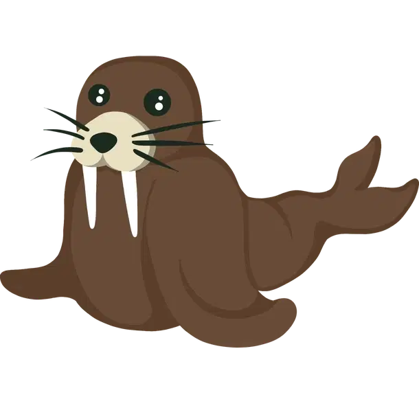Walrus common, Adopt me