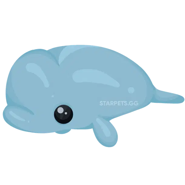 Beluga Whale common, Adopt me
