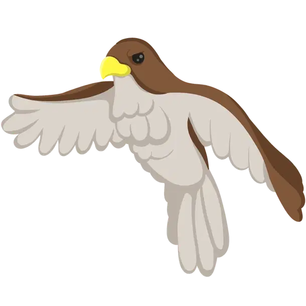 Hawk legendary, Adopt me