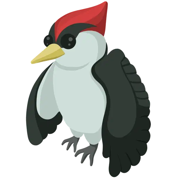 Woodpecker rare, Adopt me