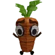 Carrot Friend