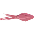 Colossal squid