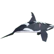 Orca