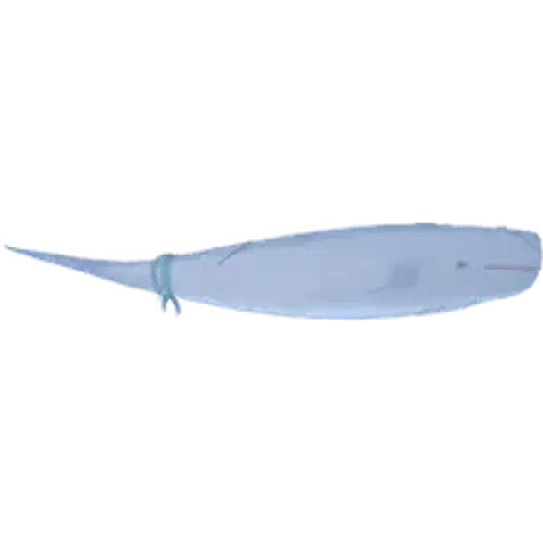 Moby legendary, Fisch