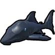 Armor catfish