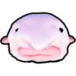 Blob fish