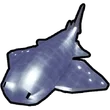 Blob shark