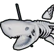 Dead zombie shark