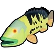 Drippy tucanare