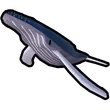 Great whale