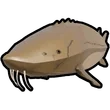 Lake sturgeon