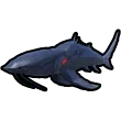 Thin armor shark