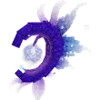 Moon Bloom