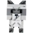Raccoon