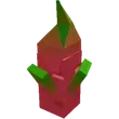 Dragon Fruit