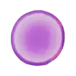 SP Reset Essence