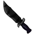 Bats