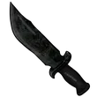 Coal