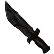 Coal