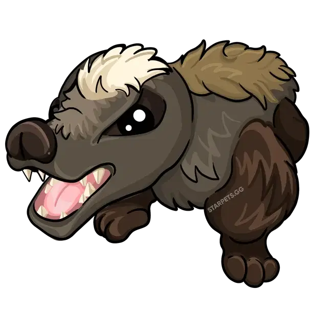 Badger common, Murder Mystery 2