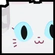 Huge Fluffy Cat