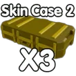 Skin Case 2 X3