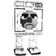 Lavadorito Spinito