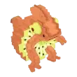 Quivioli Ameleonni